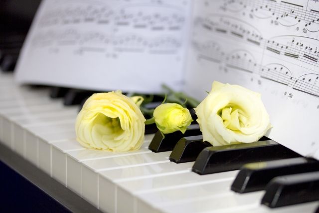 オルゴールでクラシックを聴こう！癒しを与えるクラシック音楽の良さ 高級オルゴールの通販