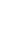  Wing Left