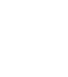  Wing Right