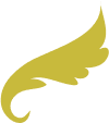  Wing Right